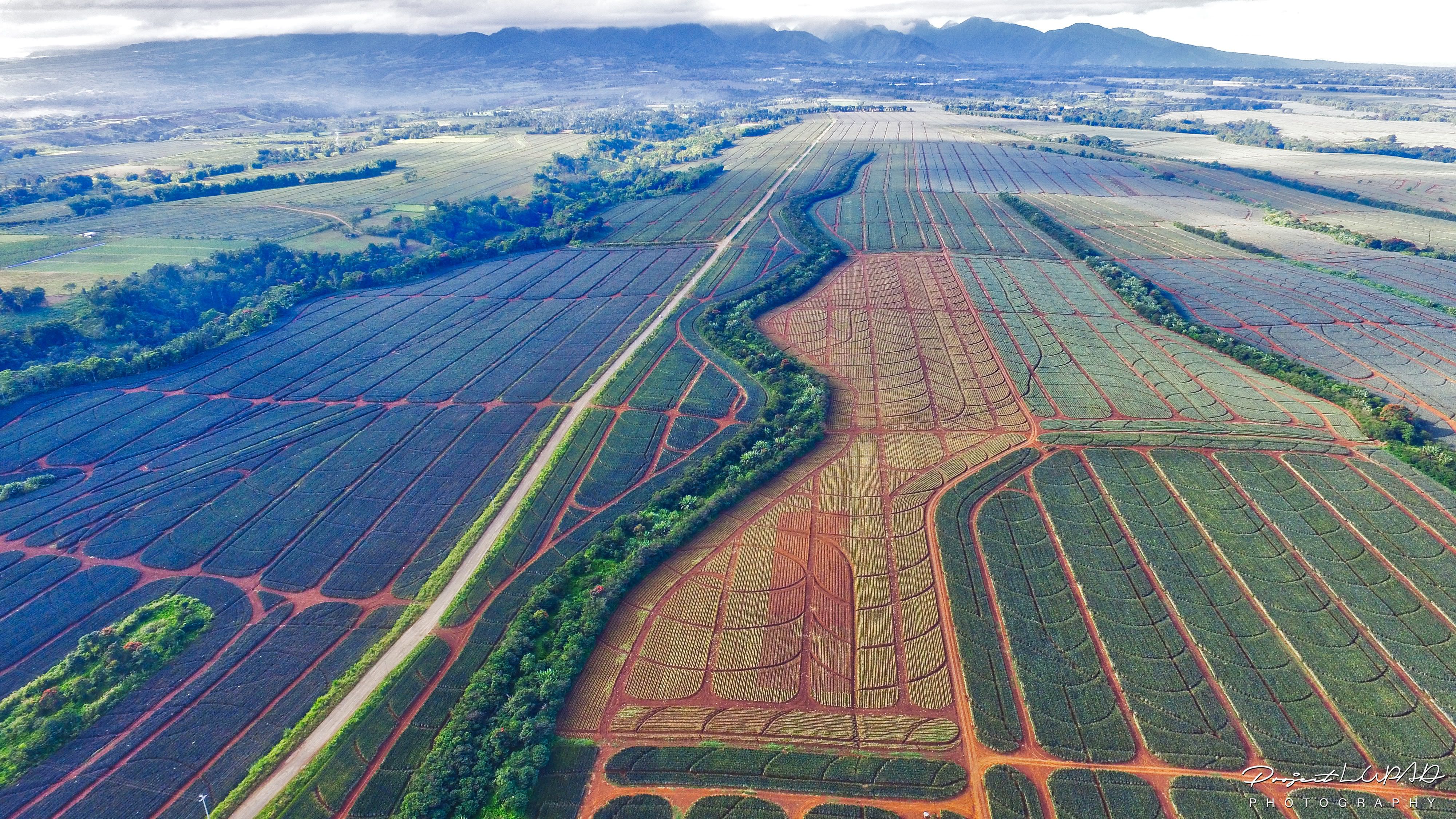 Bukidnon